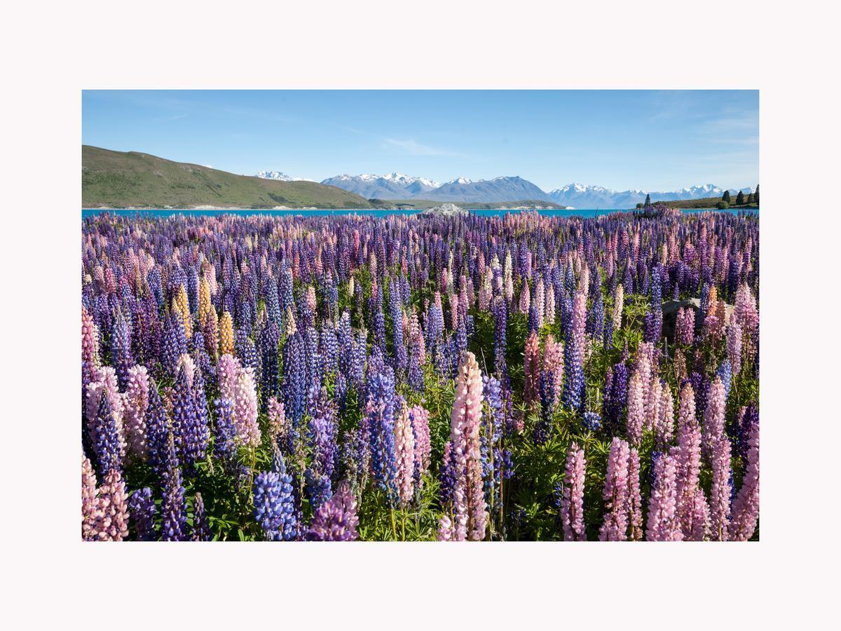 Alpine Suites On Tekapo Luxury B&B Lake Tekapo Zewnętrze zdjęcie