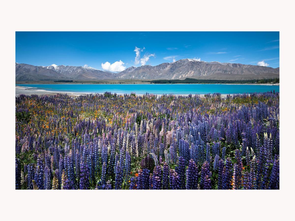 Alpine Suites On Tekapo Luxury B&B Lake Tekapo Zewnętrze zdjęcie